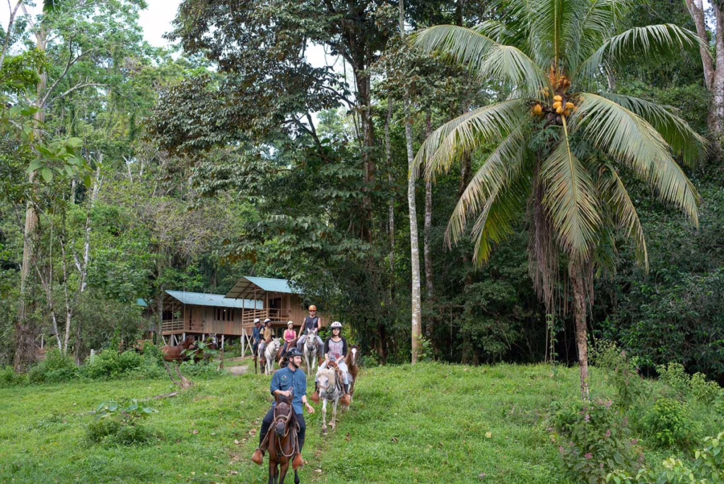 Selva Bananito