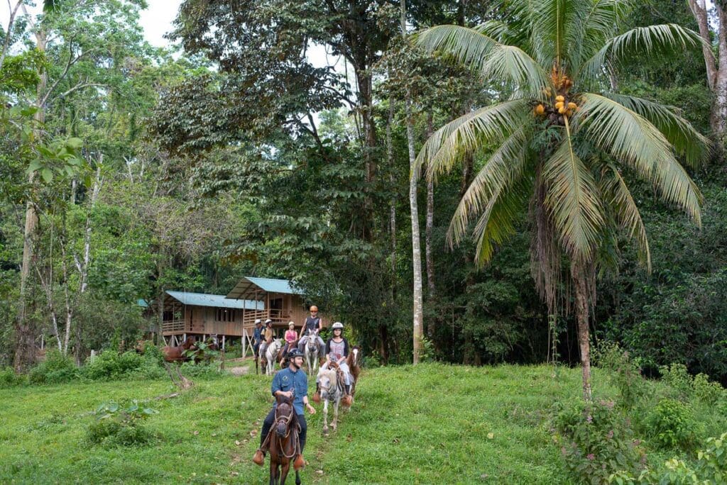 Selva Bananito