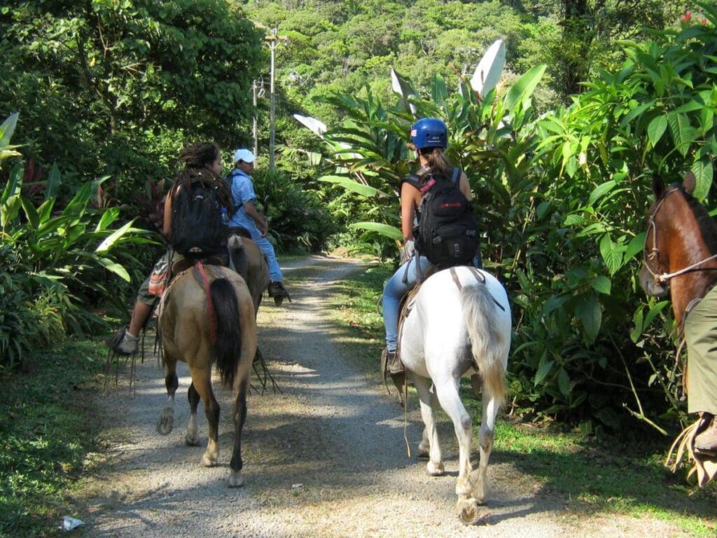 Celeste Mountain Lodge