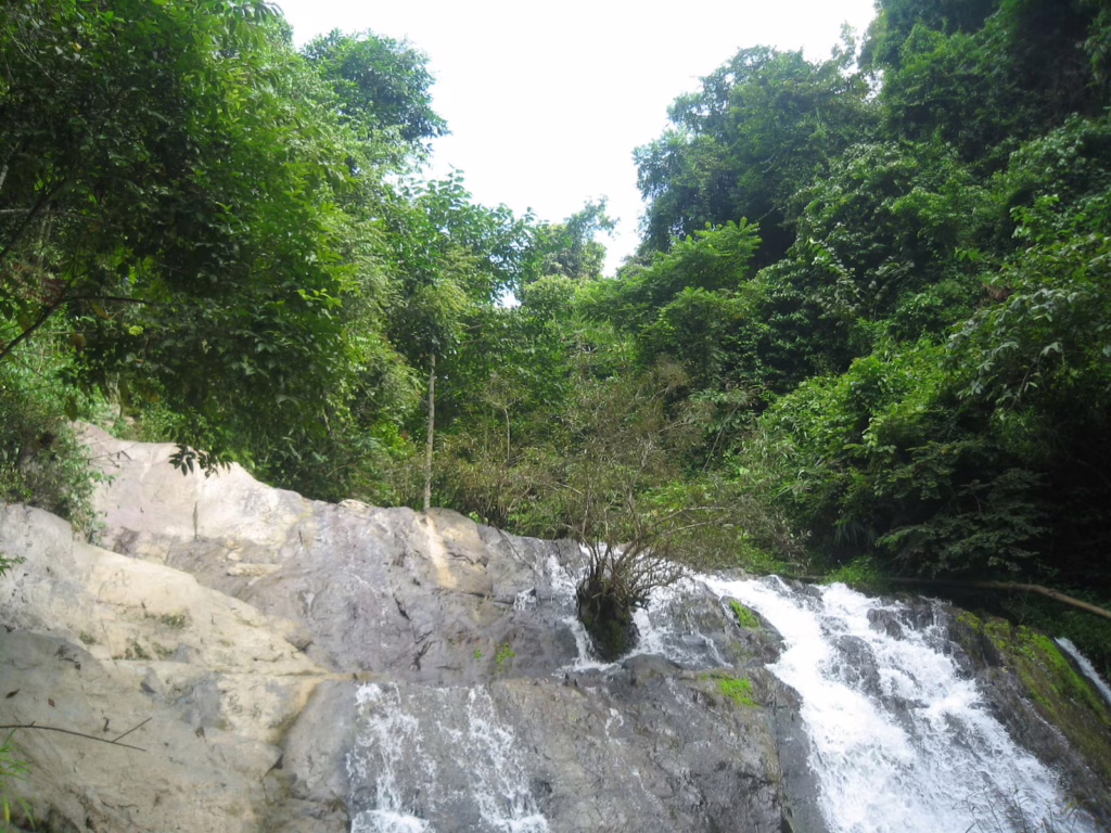 Luang Nam Tha