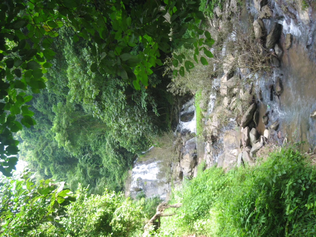 Luang Nam Tha
