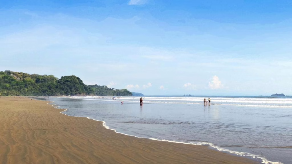 Cristal Ballena Hotel Resort & Spa
