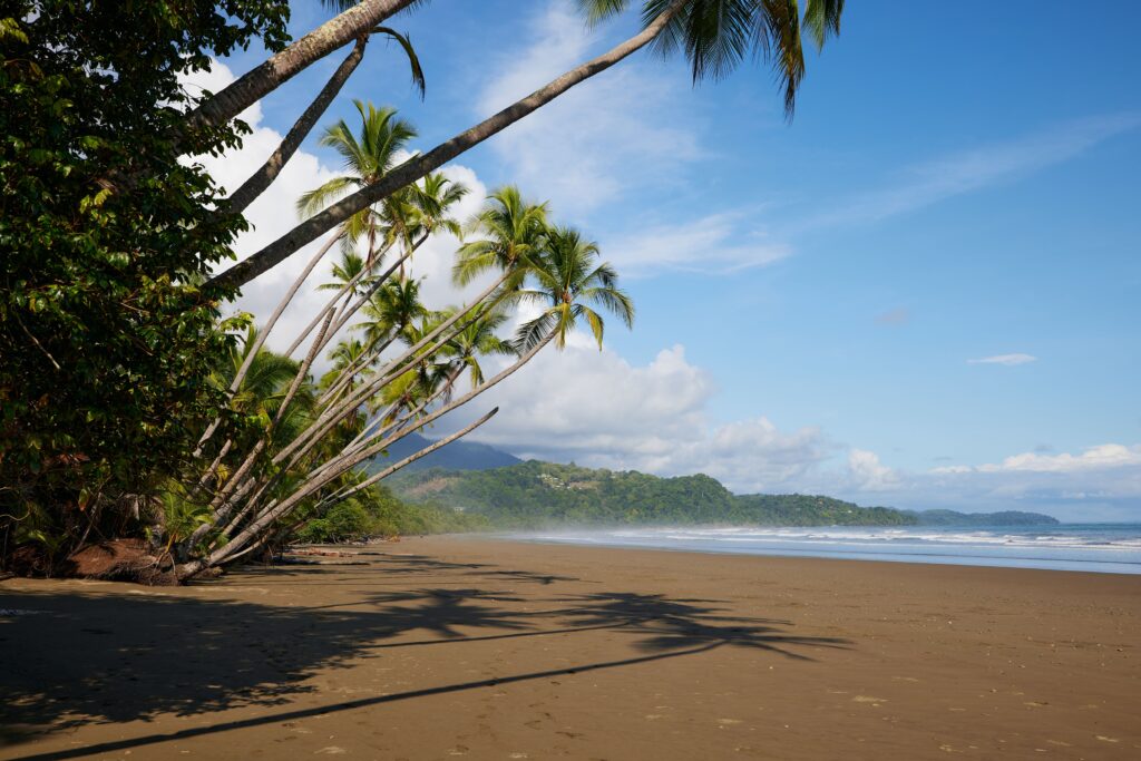 Uvita