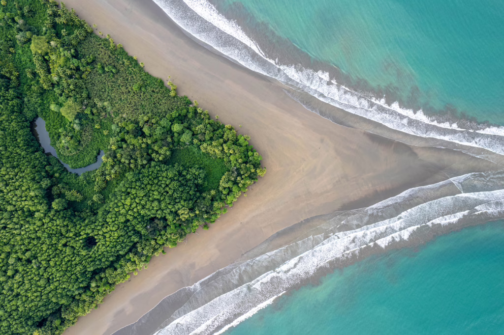 Uvita