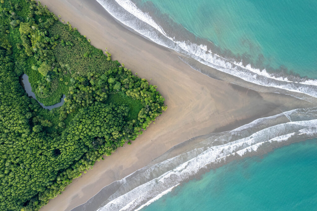 Uvita