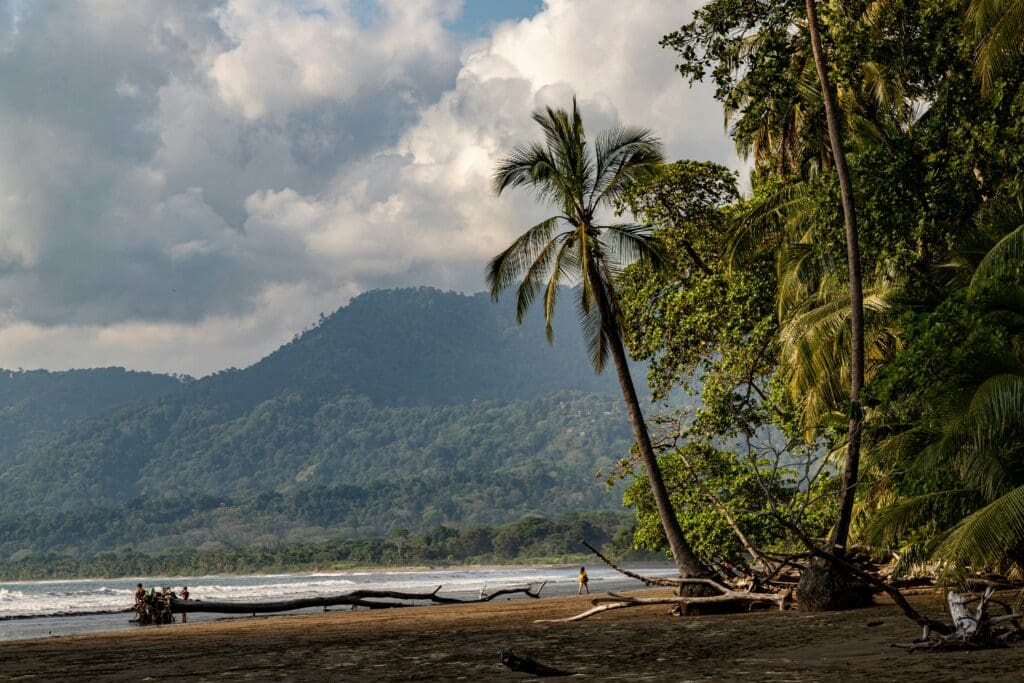 Uvita