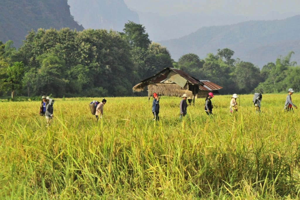 Vang Vieng