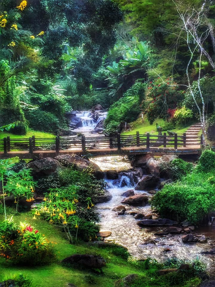 Mae Sa Valley Garden Resort