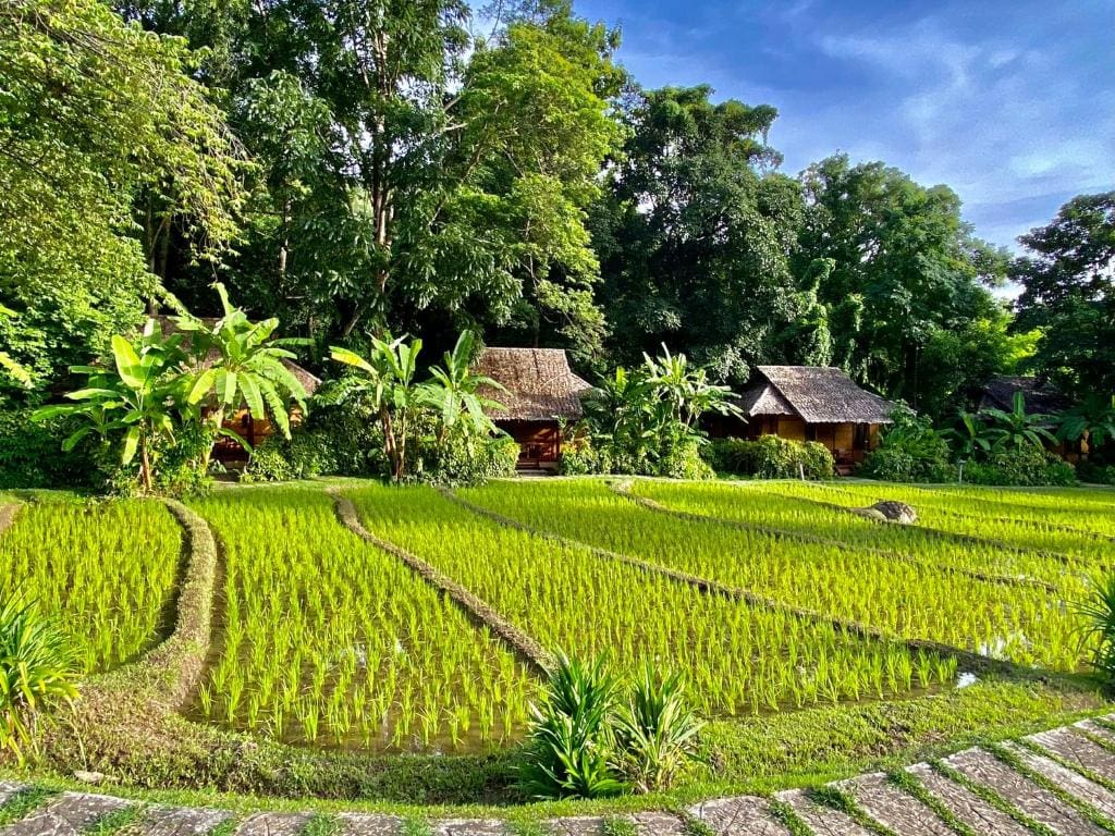 Fern Resort Mae Hong Son