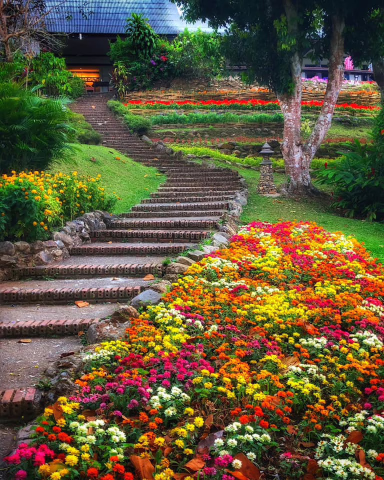 Mae Sa Valley Garden Resort