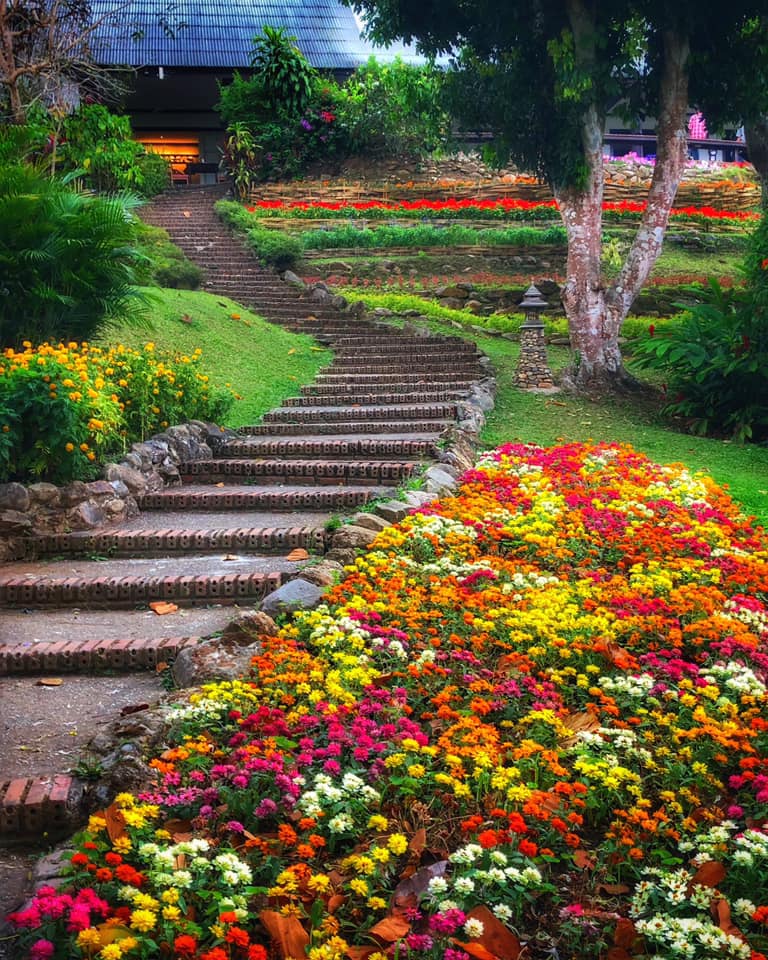 Mae Sa Valley Garden Resort