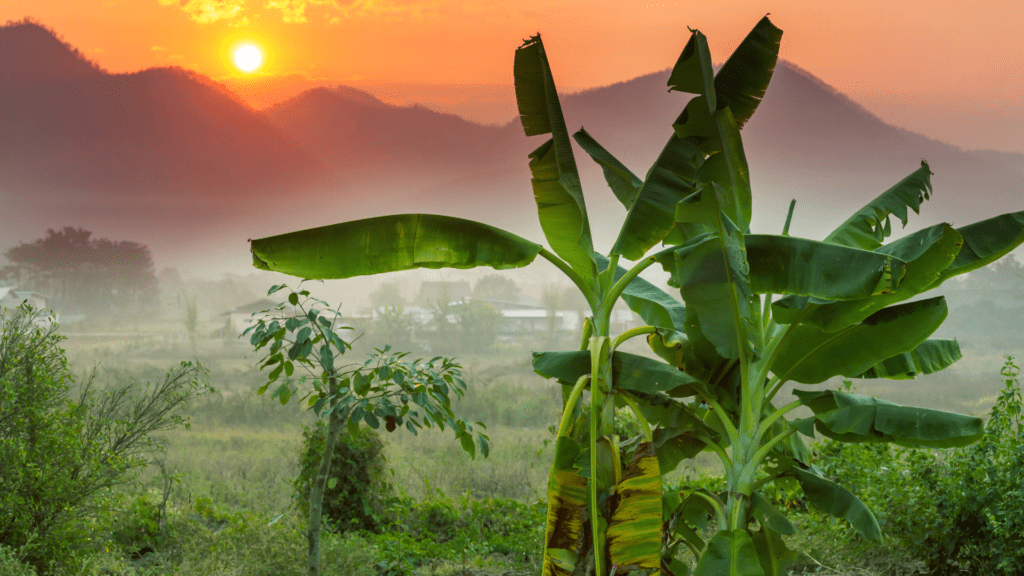Mae Hong Son
