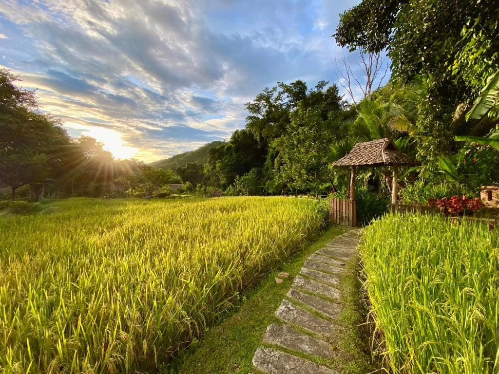 Fern Resort Mae Hong Son