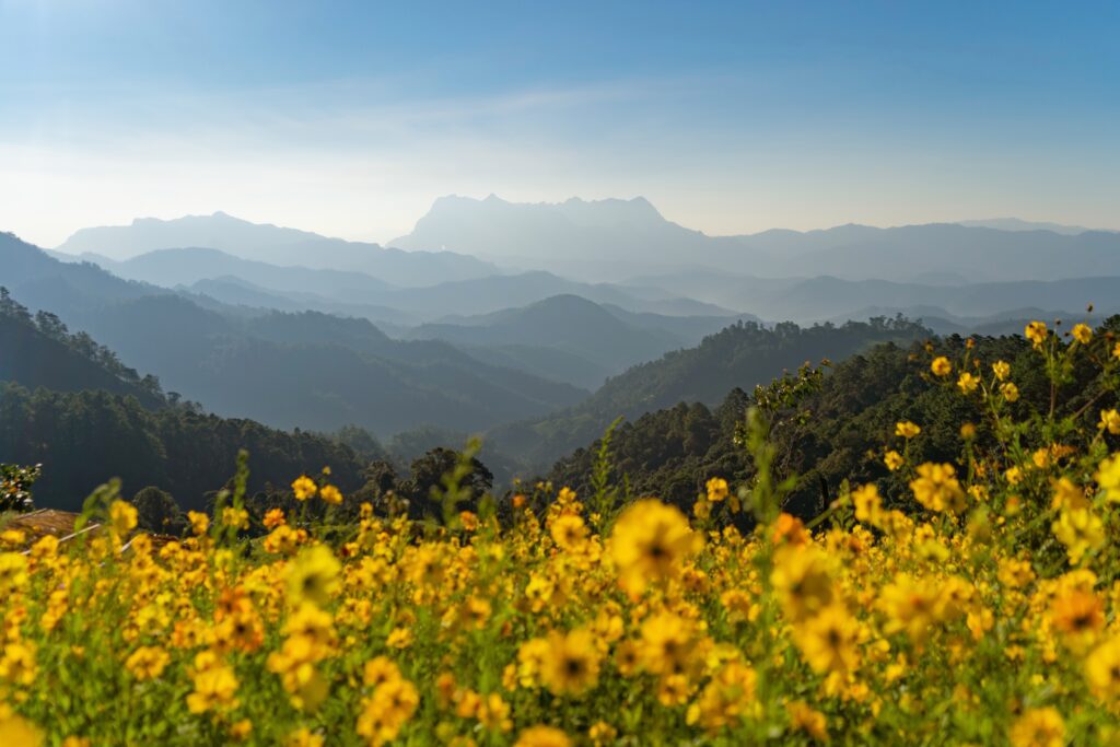 Chiang Dao