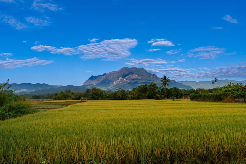 Chiang Dao