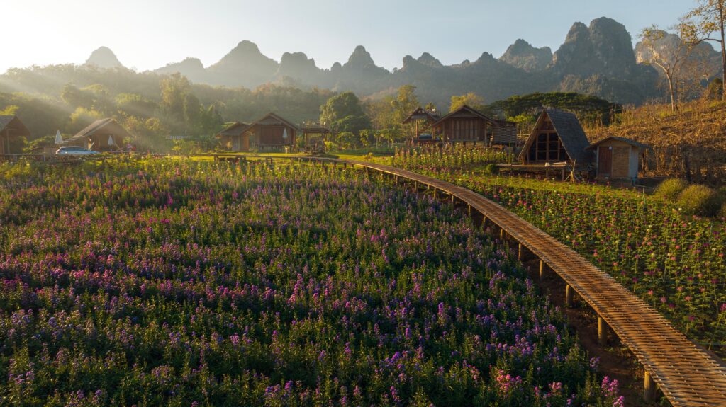Chiang Dao