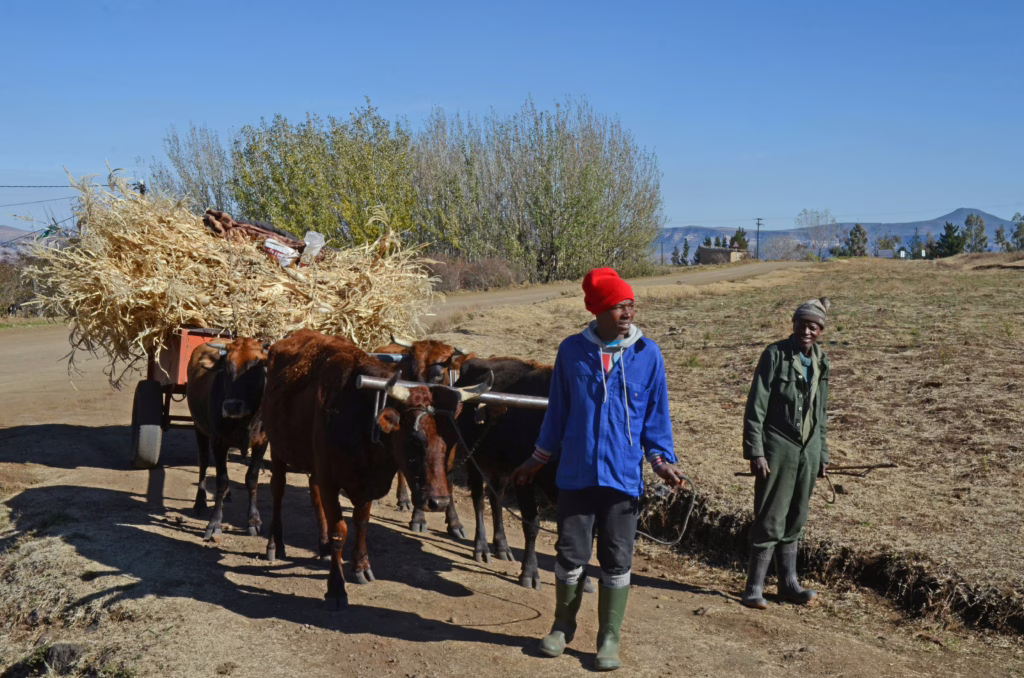 Lesotho