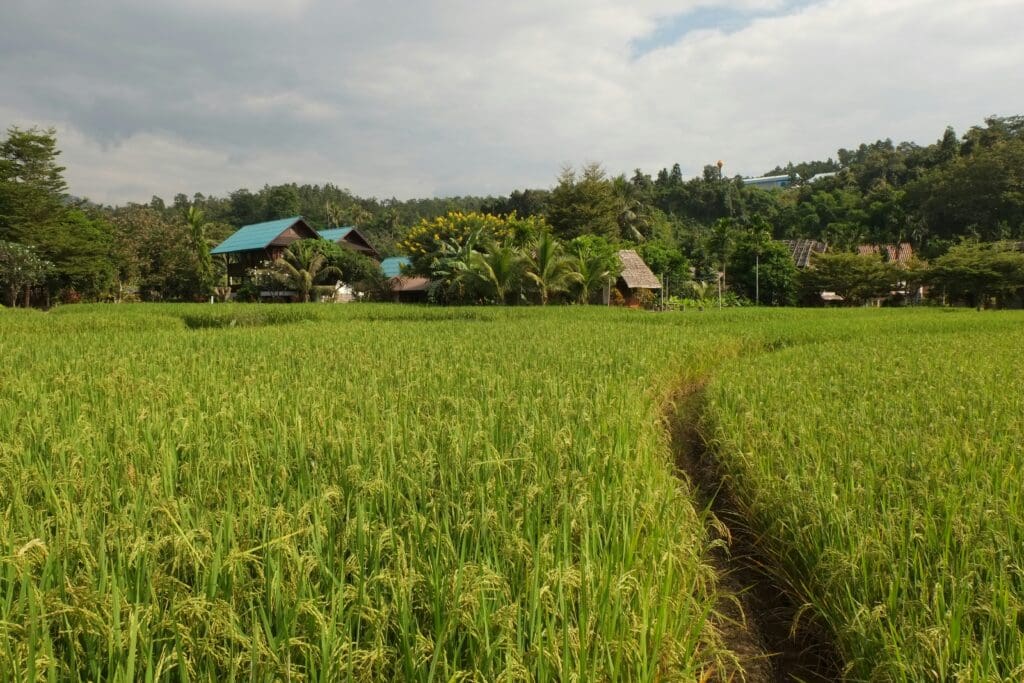 Mae Hong Son