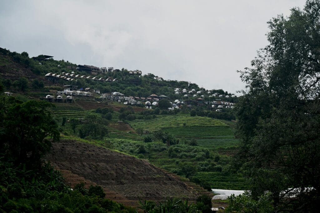 Mae Rim