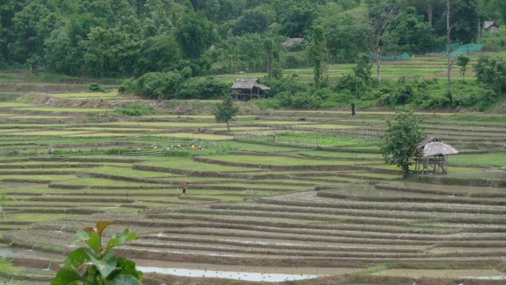 Mae Sariang