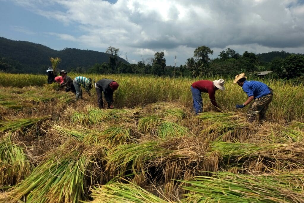 Mae Hong Son