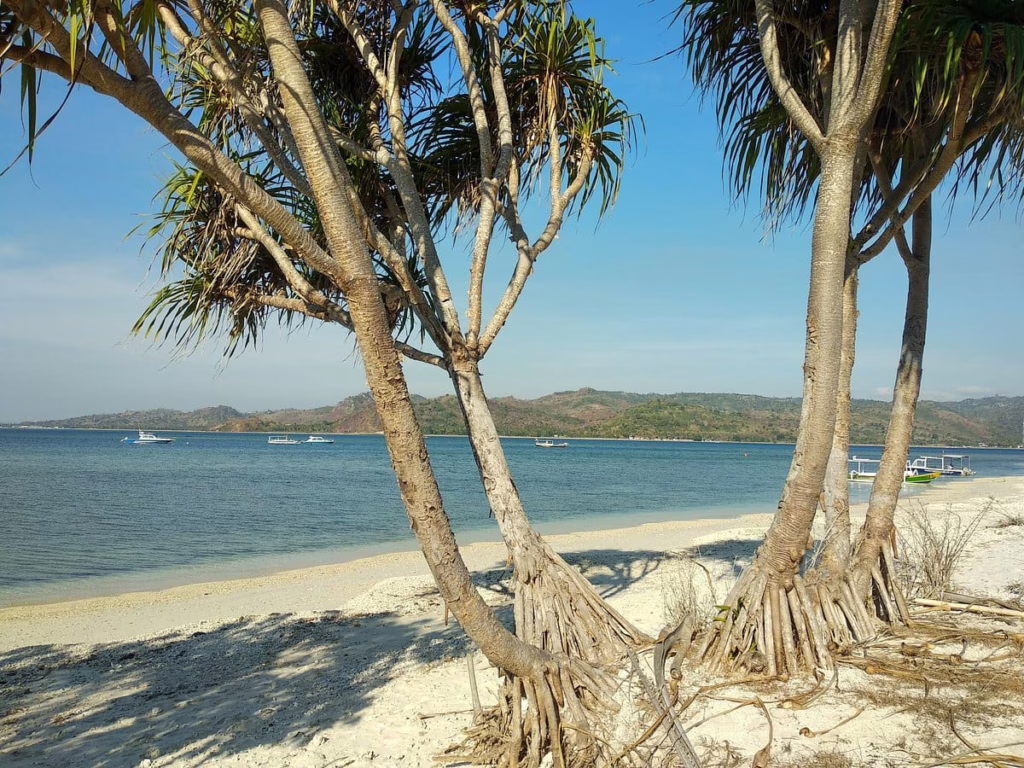 Gili Gede