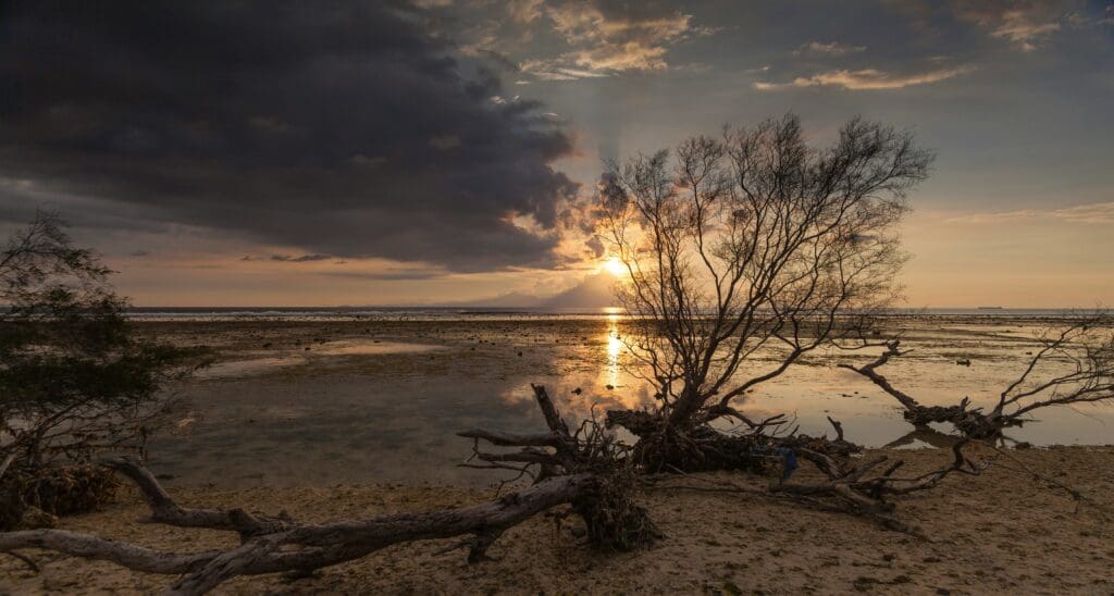 Gili Gede