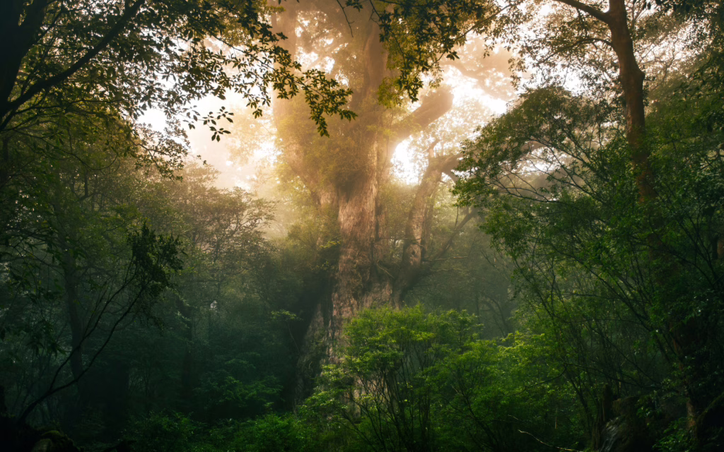 Yakushima