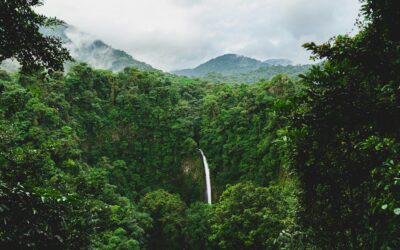 Duurzaam reizen in Costa Rica: tips voor een milieuvriendelijke vakantie/reis