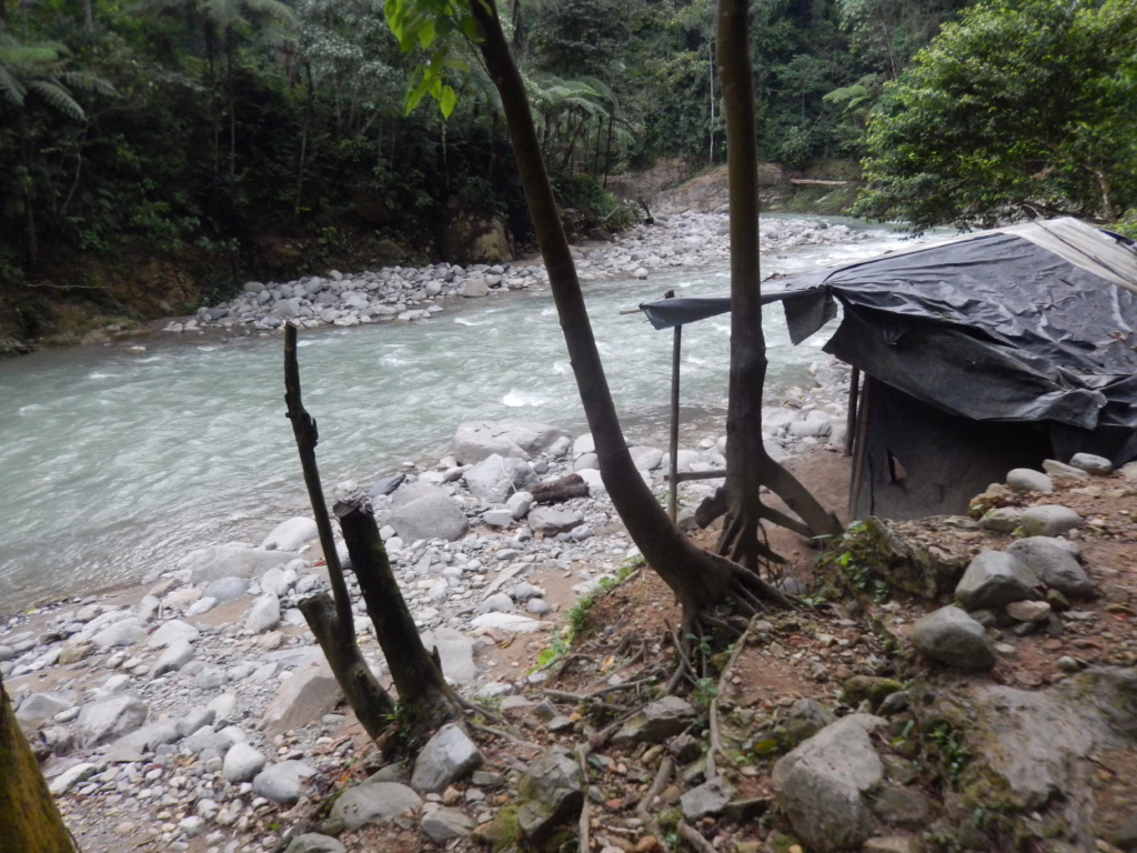 Jungle tent Bukit Lawang