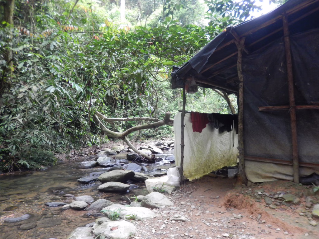 Jungle tent Bukit Lawang