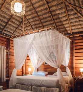 accommodatie image