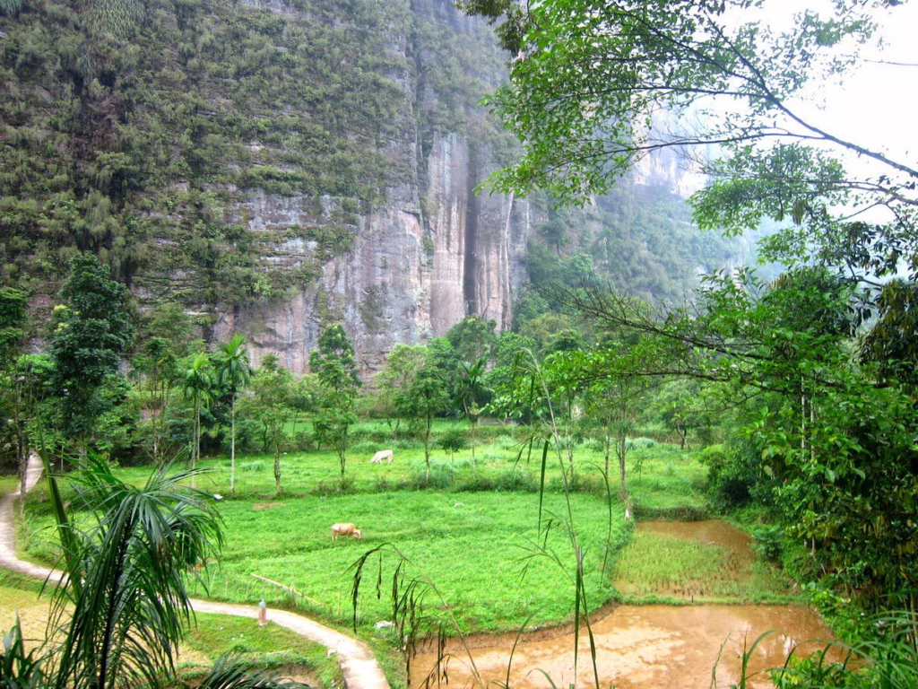 Echo Homestay Harau Valley