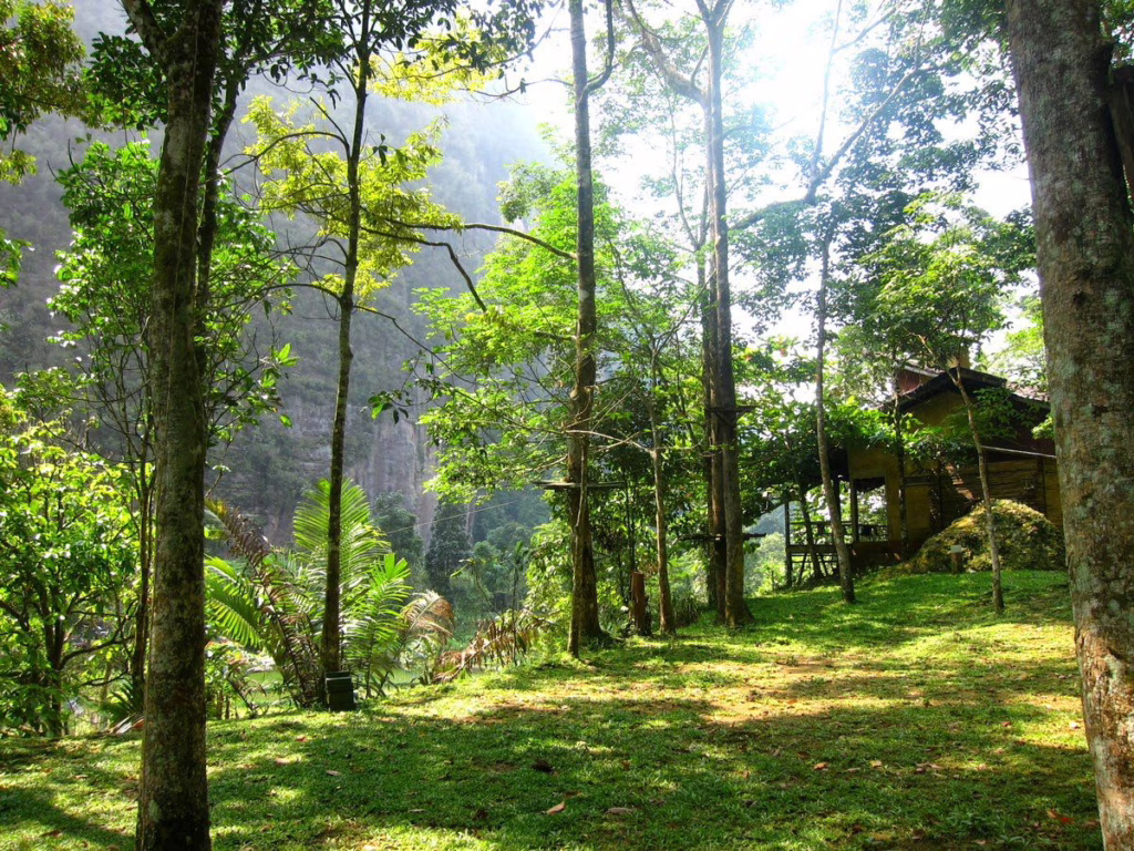 Echo Homestay Harau Valley