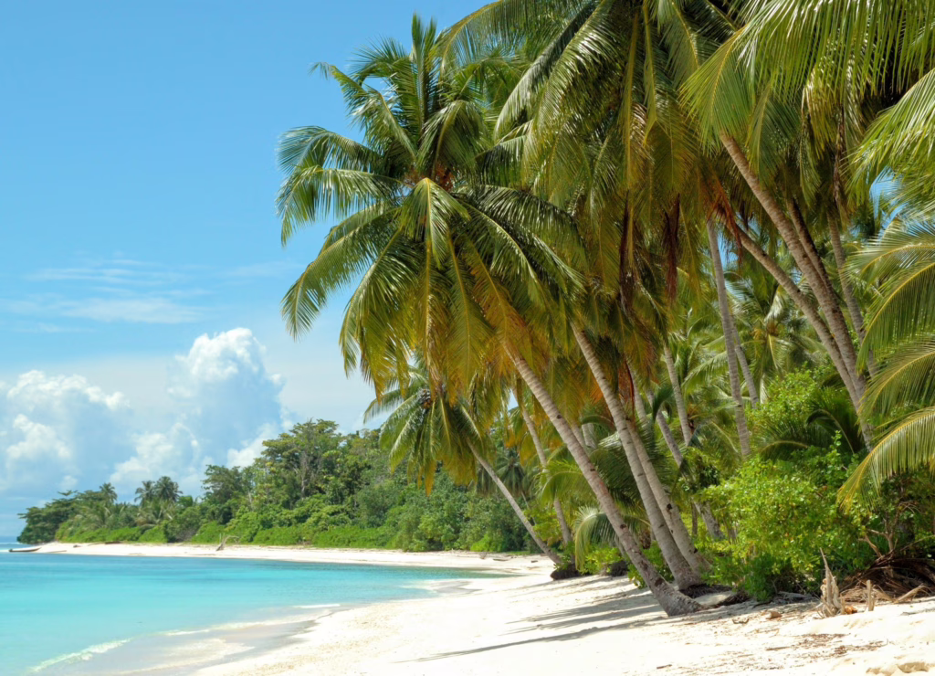 Mentawai eilanden