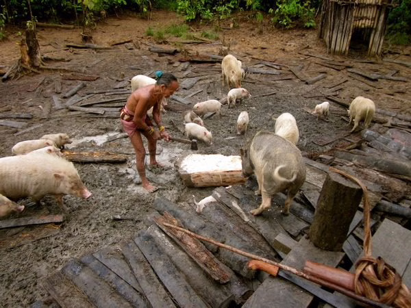 Mentawai eilanden