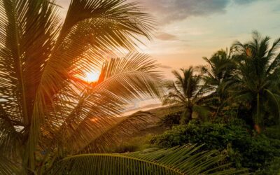 Pura Vida: de ziel van Costa Rica in twee woorden