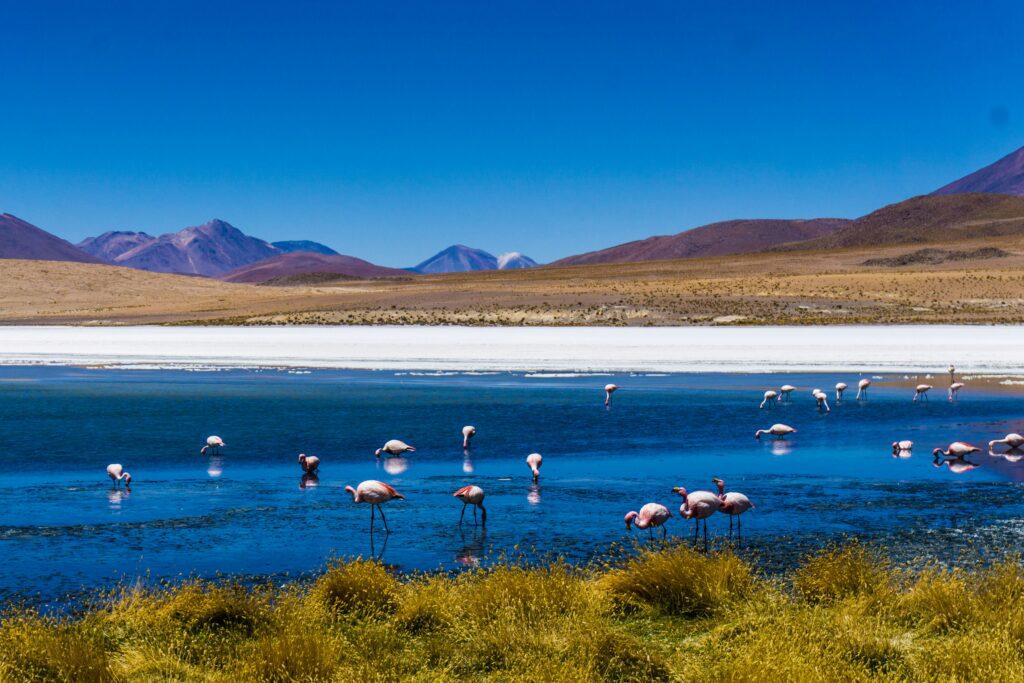 Uyuni