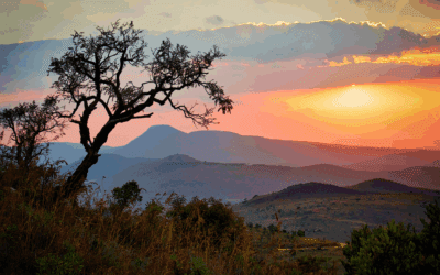Rondreis Zuid-Afrika: Een onvergetelijk avontuur op maat