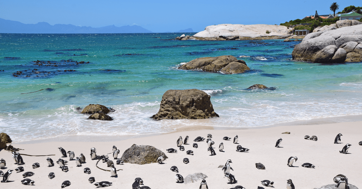 rondreis-zuid-afrika