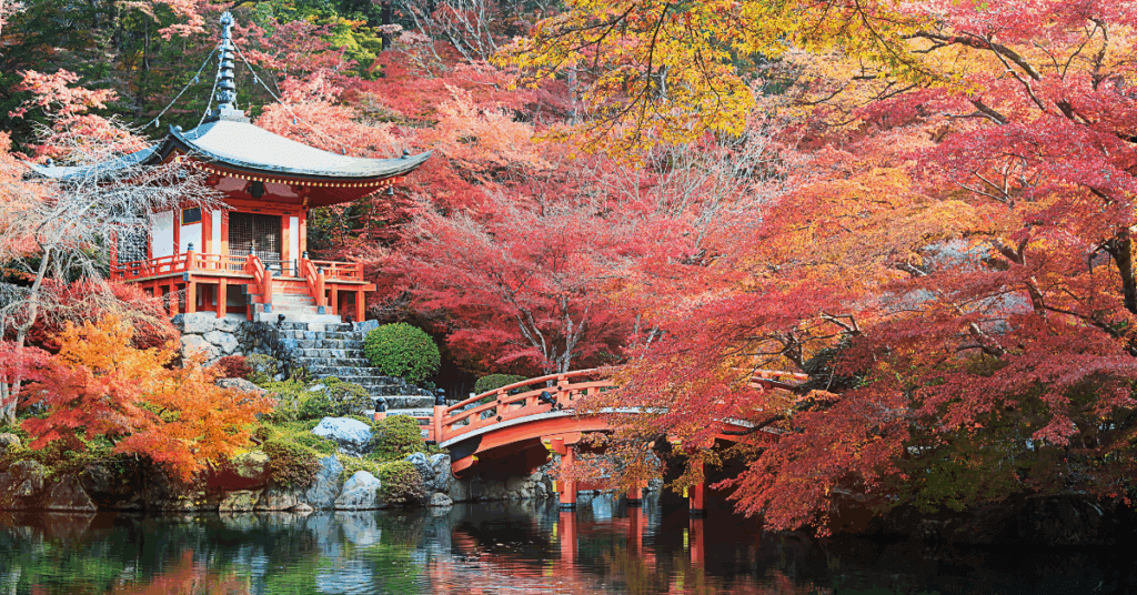 rondreis-japan-kyoto
