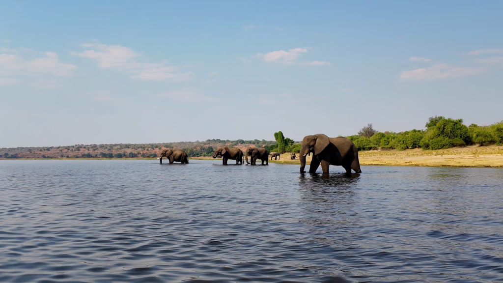 Chobe