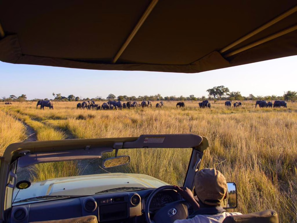 Namushasha River Lodge