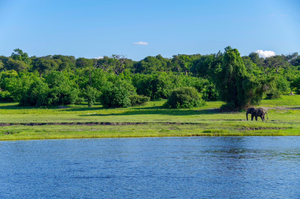 Kwando River
