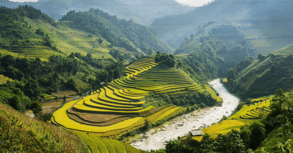 vietnam-familiereis
