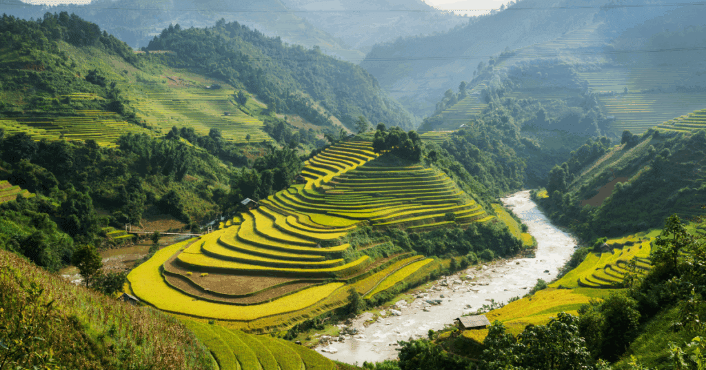 vietnam-familiereis