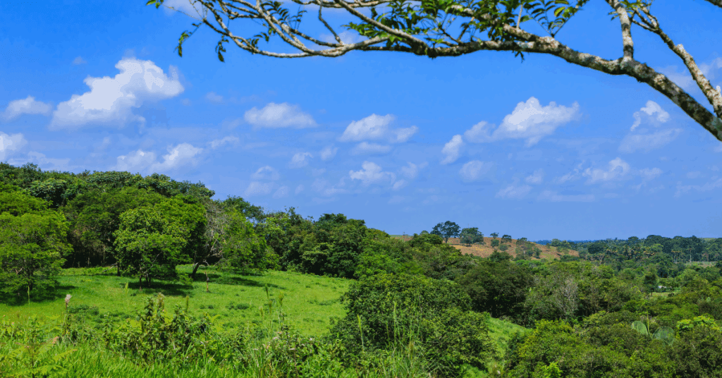 Tayrona-park-Colombia