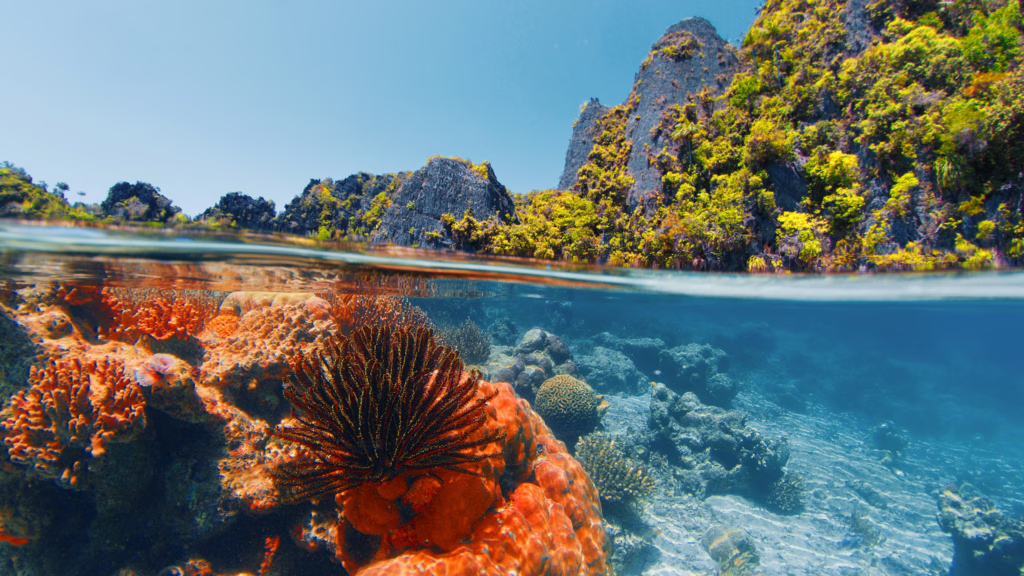 Raja Ampat