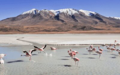 Ontdek Bolivia met onze reistips: steden, zoutvlakte en Titicaca