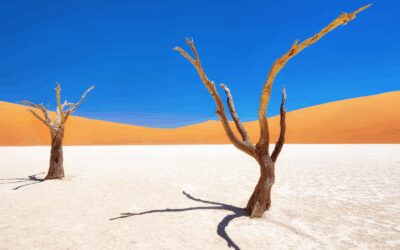 Bezoek de hoogtepunten van Namibië
